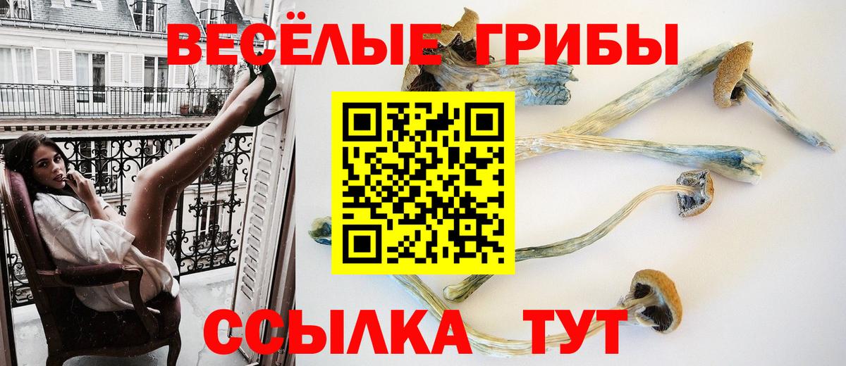Галлюциногенные грибы MAGIC MUSHROOMS  Псилоцибиновые грибы MAGIC MUSHROOMS  Куйбышев  Вход с VPN 